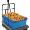 BÁSCULA PLATAFORMA 600KG CON INDICADOR IPEP BAPLE600
