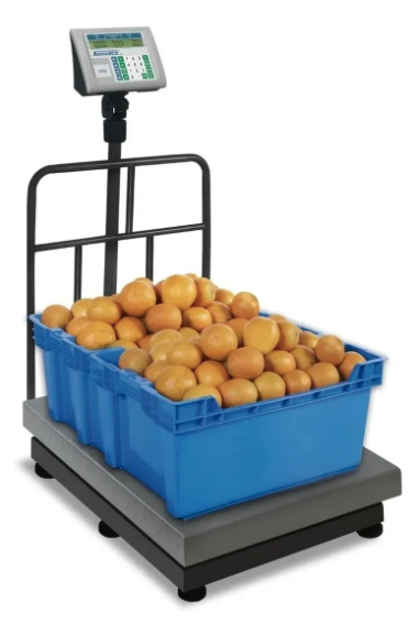 BÁSCULA PLATAFORMA 600KG CON INDICADOR IPEP BAPLE600