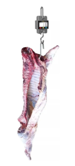 BÁSCULA COLGANTE GANCHO 300KG BAC300