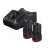 Sierra Sable Inalámbrica GSA 12v-14 Professional 2 Baterías
