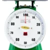 Bascula Industrial Mecanica De Muelle 30kg Noval Color Verde - Verde